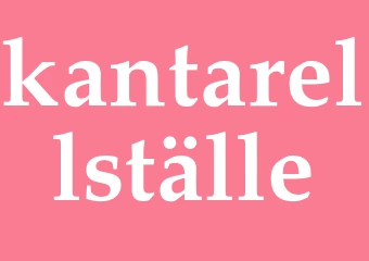 Synonym kantarellställe