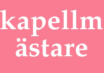 Synonym kapellmästare