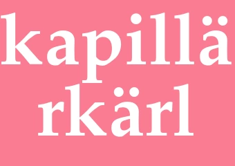 Synonym kapillärkärl