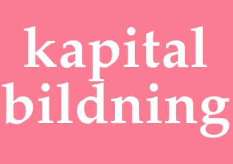 Synonym kapitalbildning