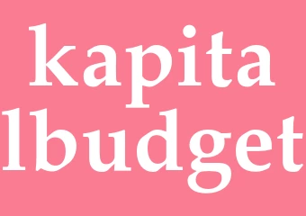 Synonym kapitalbudget