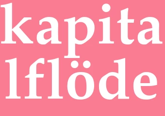 Synonym kapitalflöde