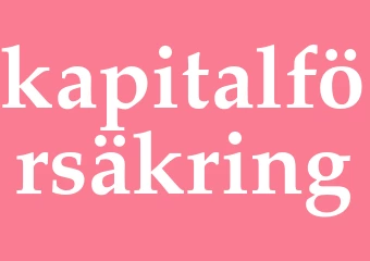 Synonym kapitalförsäkring