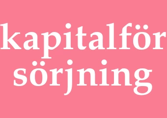Synonym kapitalförsörjning