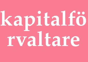 Synonym kapitalförvaltare