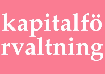 Synonym kapitalförvaltning