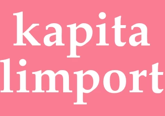 Synonym kapitalimport