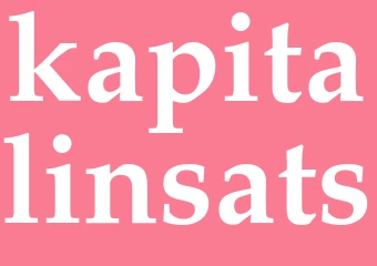 Synonym kapitalinsats