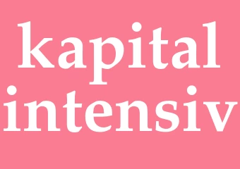 Synonym kapitalintensiv