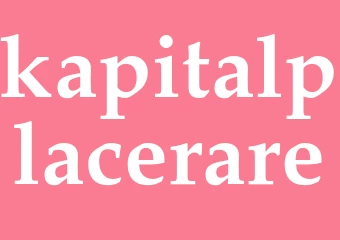 Synonym kapitalplacerare