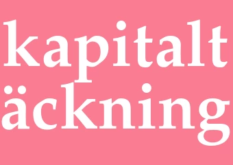 Synonym kapitaltäckning