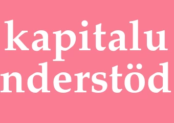 Synonym kapitalunderstöd