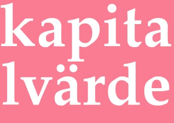 Synonym kapitalvärde