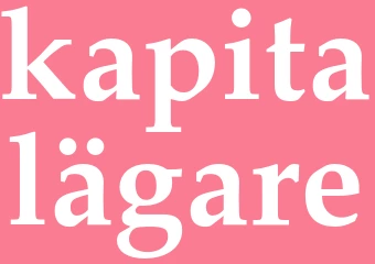 Synonym kapitalägare