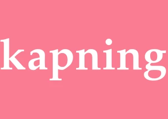 Synonym kapning