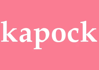 Synonym kapock