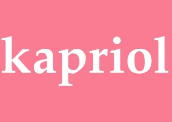 Synonym kapriol