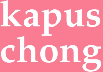 Synonym kapuschong