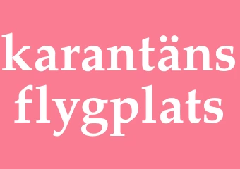Synonym karantänsflygplats