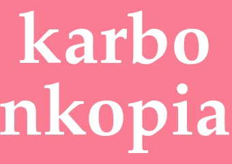 Synonym karbonkopia