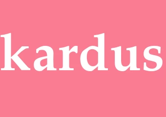 Synonym kardus