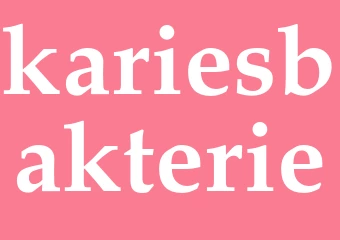 Synonym kariesbakterie
