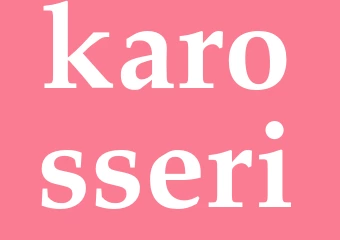 Synonym karosseri