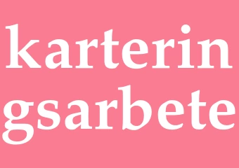 Synonym karteringsarbete