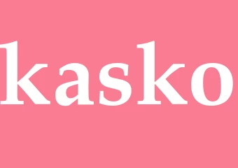 Synonym kasko