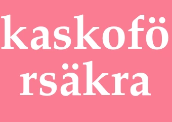 Synonym kaskoförsäkra