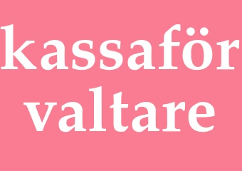 Synonym kassaförvaltare