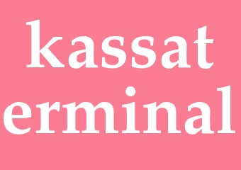 Synonym kassaterminal