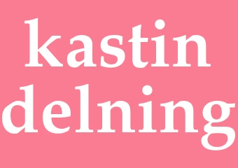 Synonym kastindelning