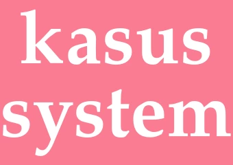 Synonym kasussystem