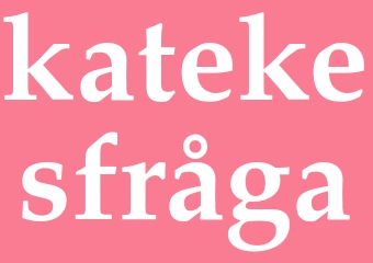 Synonym katekesfråga