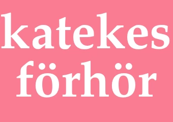 Synonym katekesförhör
