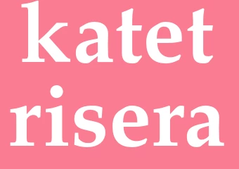 Synonym katetrisera