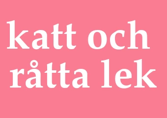 Synonym katt-och-råtta-lek
