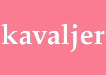 Synonym kavaljer