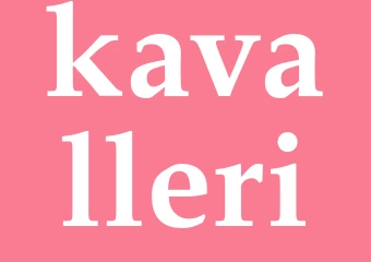 Synonym kavalleri