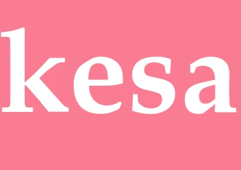 Synonym kesa
