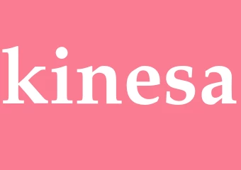 Synonym kinesa