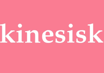 Synonym kinesisk