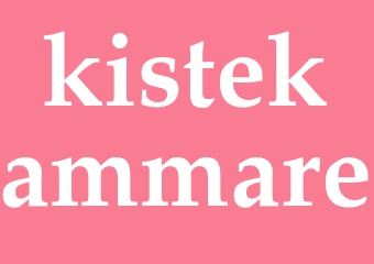 Synonym kistekammare