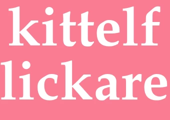 Synonym kittelflickare
