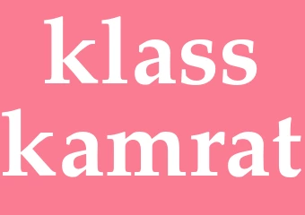 Synonym klasskamrat