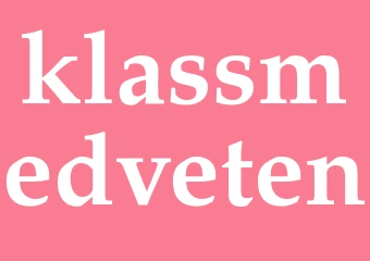 Synonym klassmedveten