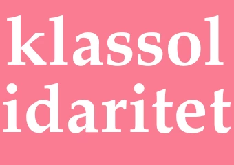 Synonym klassolidaritet