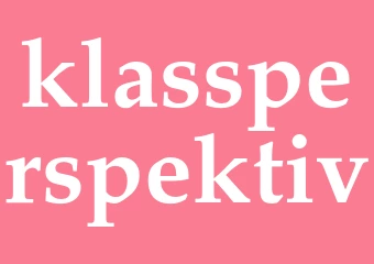 Synonym klassperspektiv