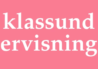Synonym klassundervisning